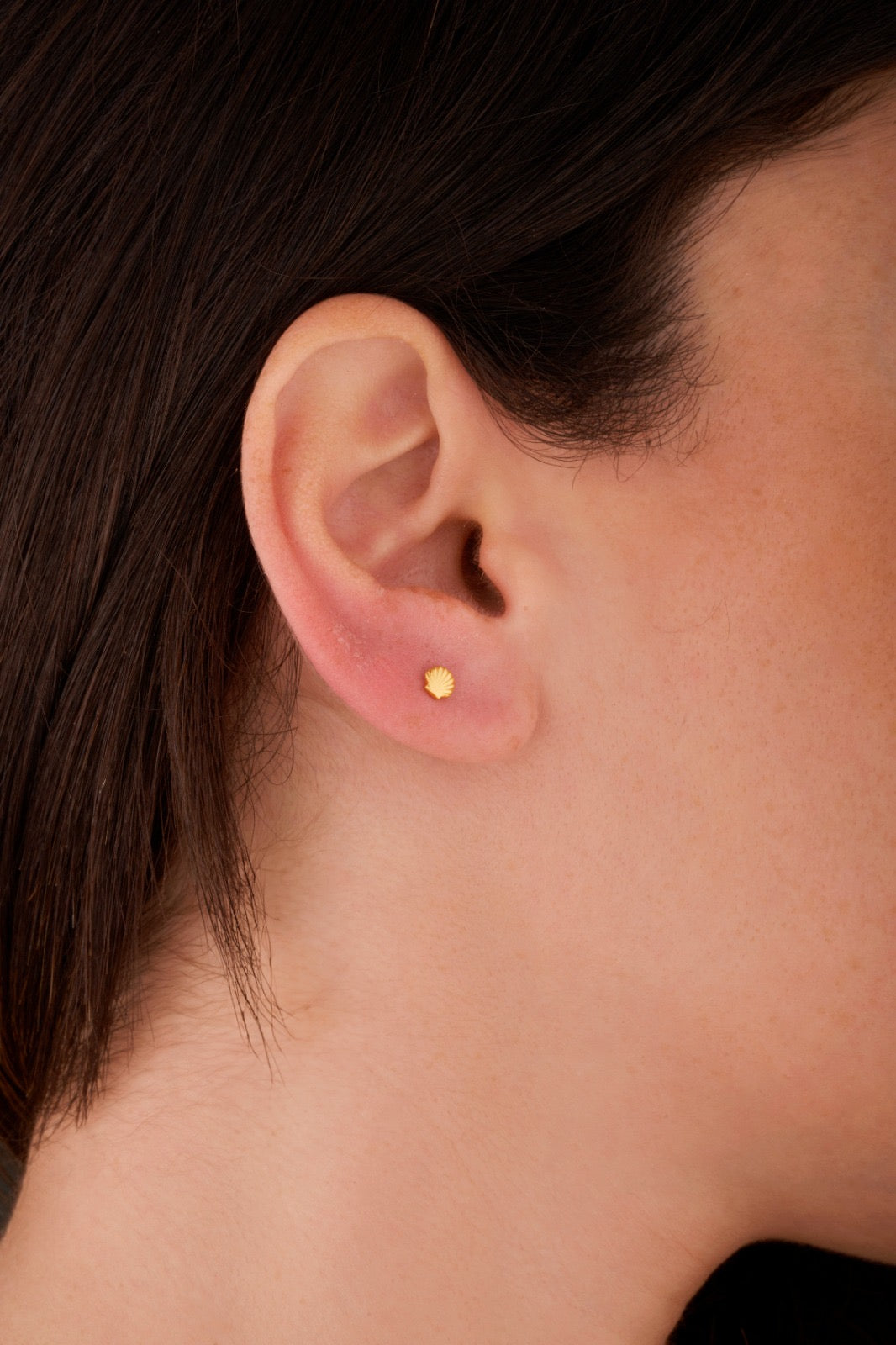 Iris shell gold ear piercing