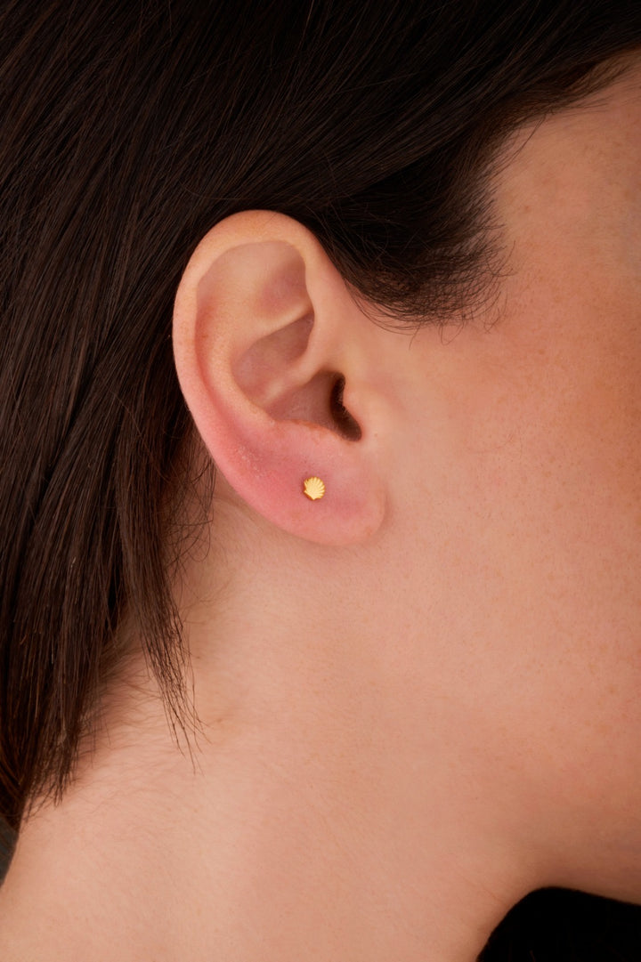 Iris shell gold ear piercing